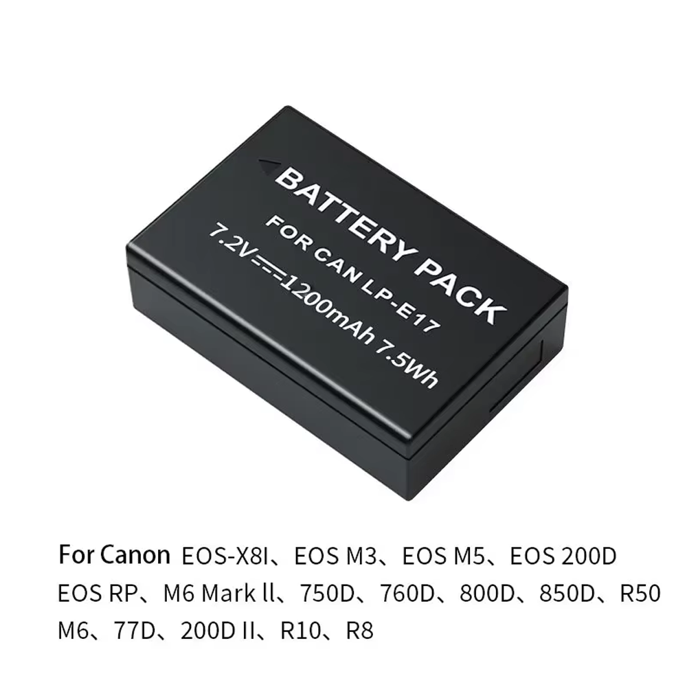 Caricabatterie doppio LED 1200 - Canon Camera Eos R8 recensione e prezzo